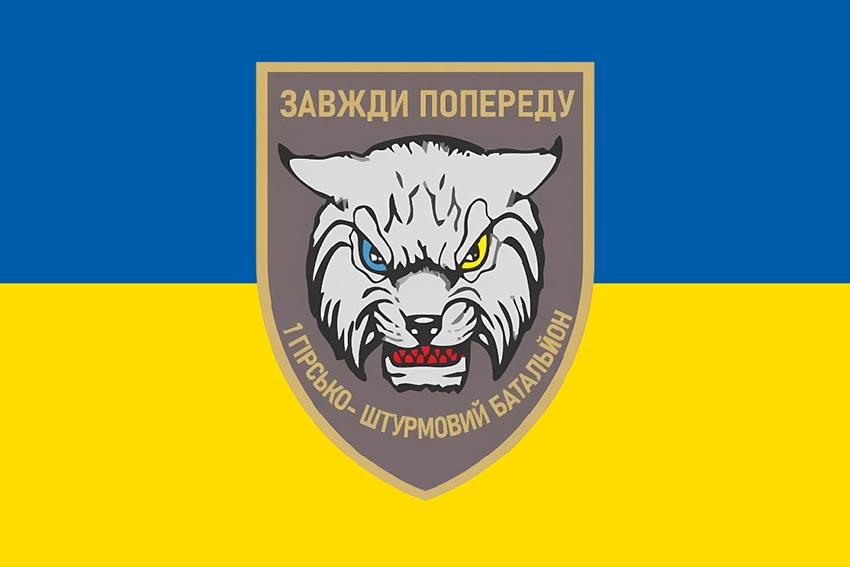Прапор 1 гірсько штурмового батальйону «Рись» 128 ОГШБр (1 ГШБ 128 ОГШБр) ЗСУ синьо жовтий