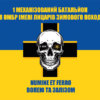 prapor-1-mekhanizovanoho-batalionu-28-ombr-imeni-lytsariv-zymovoho-pokhodu-zsu-syno-zhovtyi.jpg