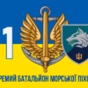 prapor-1-okremoho-bataliona-morskoi-pikhoty-1-obmp-vms-ukrainy-syno-zhovtyi-2.jpg