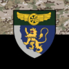 prapor-1-okremoi-bryhady-imeni-kniazia-leva-dsst-kamufliazh-chornyi.jpg