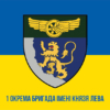 prapor-1-okremoi-bryhady-imeni-kniazia-leva-dsst-syno-zhovtyi-1-1.jpg