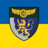 prapor-1-okremoi-bryhady-imeni-kniazia-leva-dsst-syno-zhovtyi-1.jpg