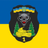 prapor-1-okremoi-tankovoi-bryhady-1-otbr-sv-zsu-loho-2-syno-zhovtyi.jpg