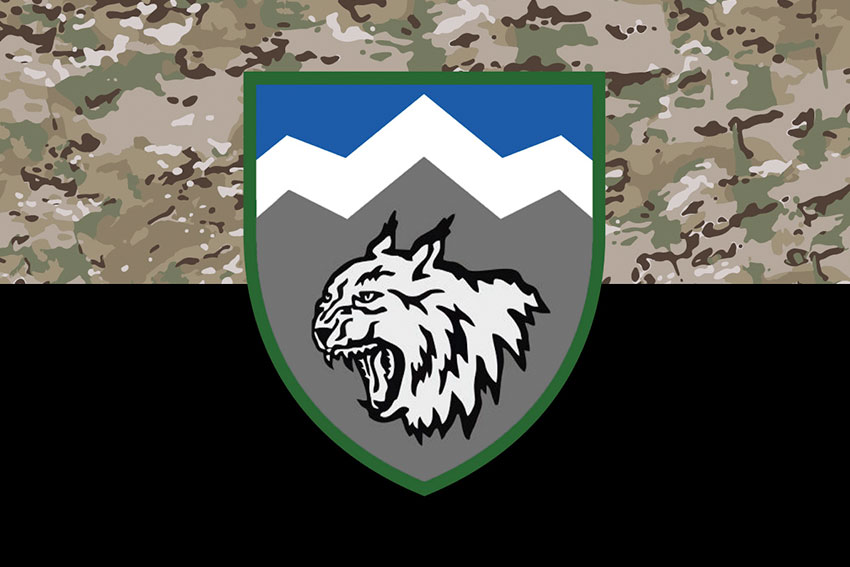 Прапор 108 ОГШБ (окремий гірсько-штурмовий батальйон) ЗСУ камуфляж-чорний