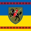 prapor-110-ombr-okremoi-mekhanizovanoi-bryhady-imeni-marka-bezruchka-zsu-syno-zhovtyi-z-vyshyvankoiu.jpg