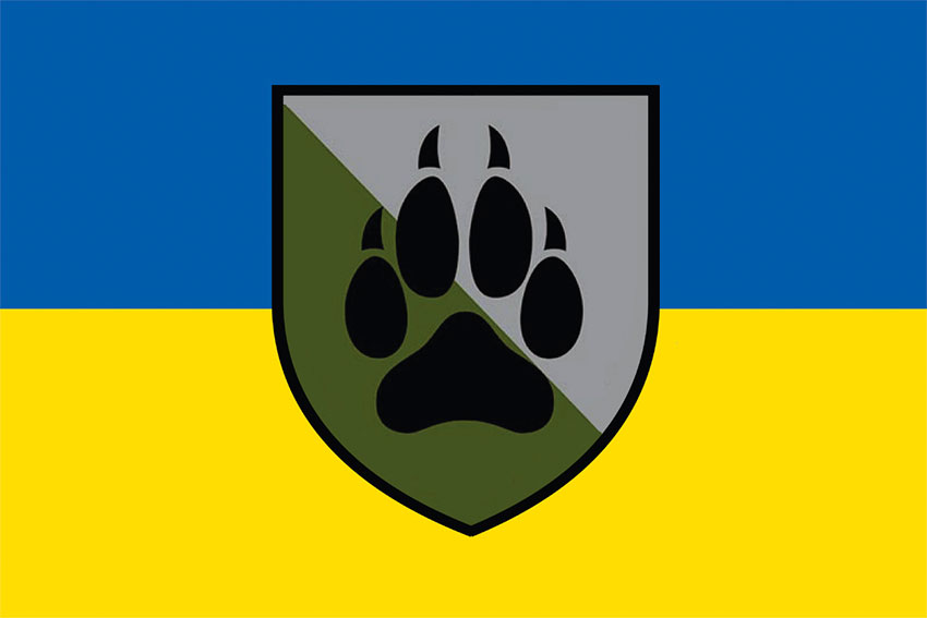 Прапор 118 окремої механізованої бригади (118 ОМБр) СВ ЗСУ синьо-жовтий