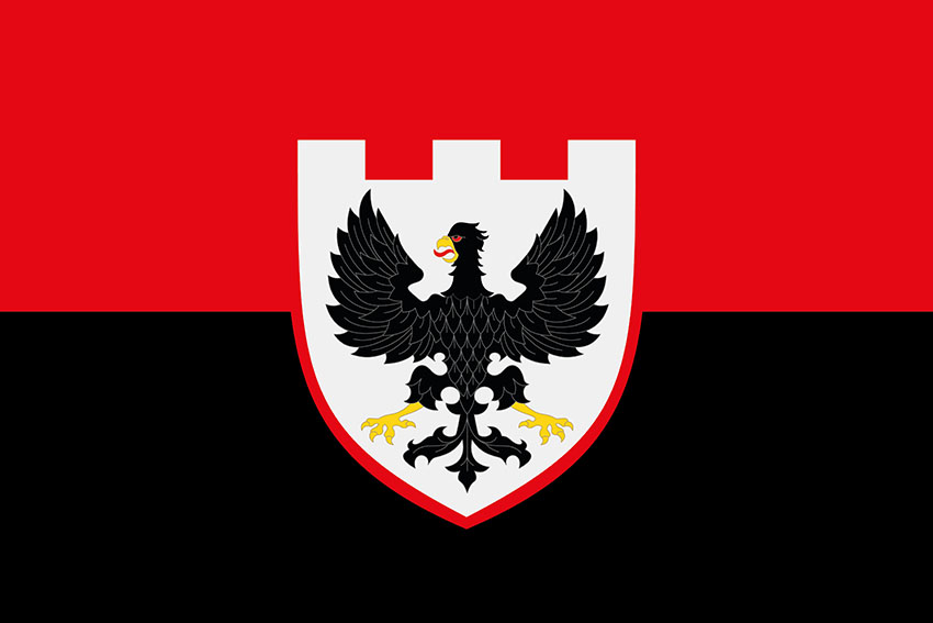 Прапор 119 окремої бригади територіальної оборони (119 ОБрТрО) ЗСУ червоно-чорний