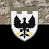 prapor-119-obrtro-zsu-kamufliazh-chornyi-1.jpg