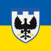 prapor-119-obrtro-zsu-syno-zhovtyi-2.jpg