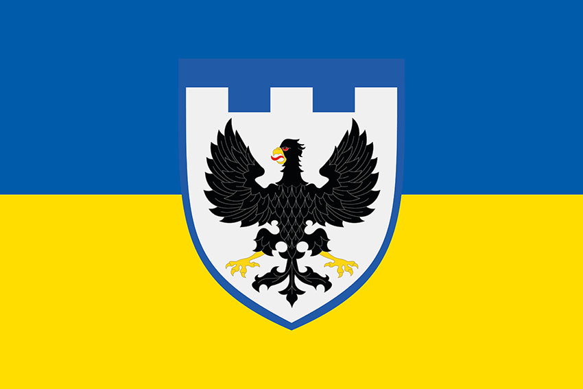 Прапор 119 окремої бригади територіальної оборони (119 ОБрТрО) ЗСУ синьо-жовтий