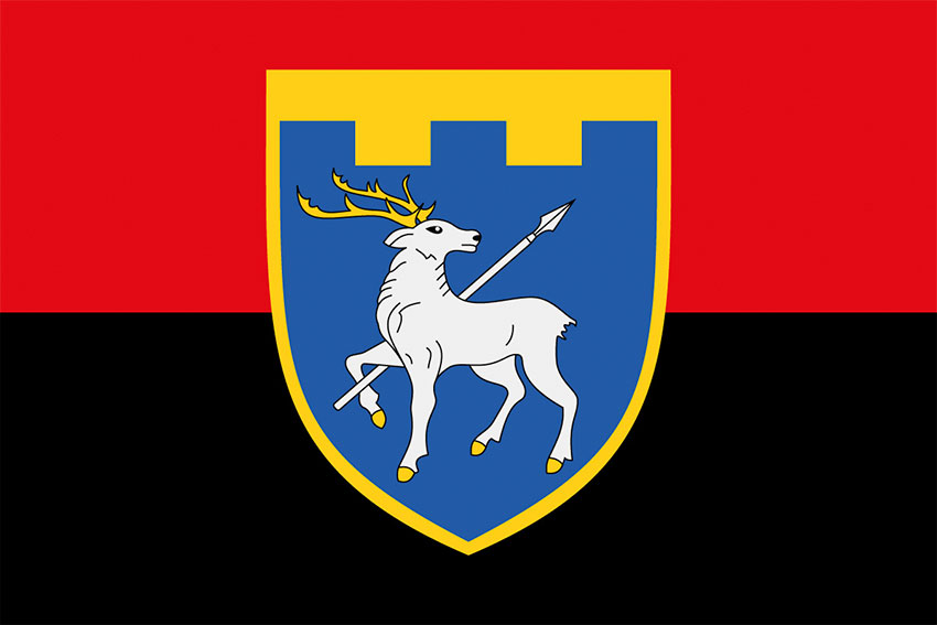 Прапор 123 окремої бригади територіальної оборони (123 ОБрТрО) ЗСУ червоно-чорний