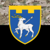 prapor-123-obrtro-zsu-kamufliazh-chornyi.jpg