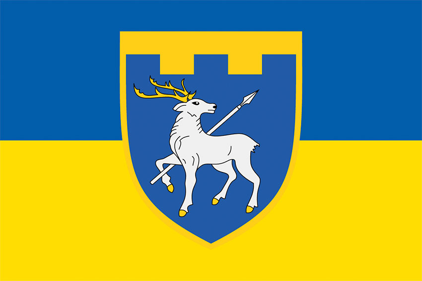 Прапор 123 окремої бригади територіальної оборони (123 ОБрТрО) ЗСУ синьо-жовтий