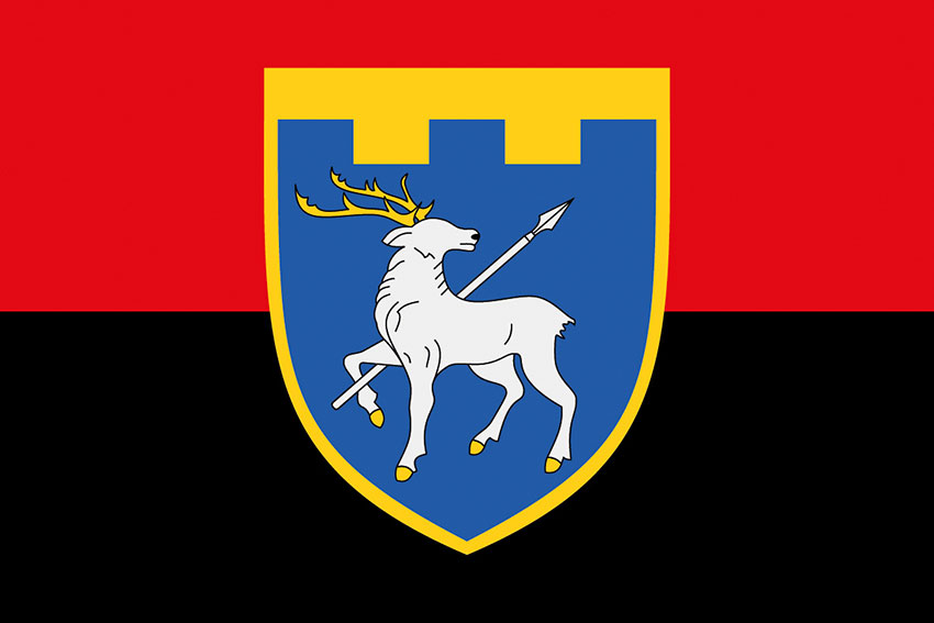 Прапор 123 окремої бригади територіальної оборони (123 ОБрТрО) ЗСУ червоно-чорний