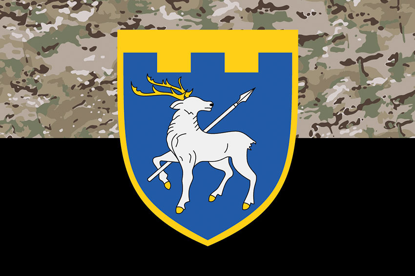 Прапор 123 окремої бригади територіальної оборони (123 ОБрТрО) ЗСУ камуфляж-чорний