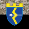 prapor-130-obtro-zsu-kamufliazh-chornyi.jpg