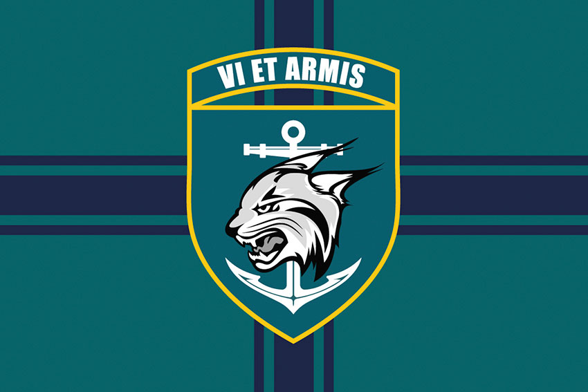 Прапор 137 окремого батальйона морської піхоти (137 ОБМП) ЗСУ