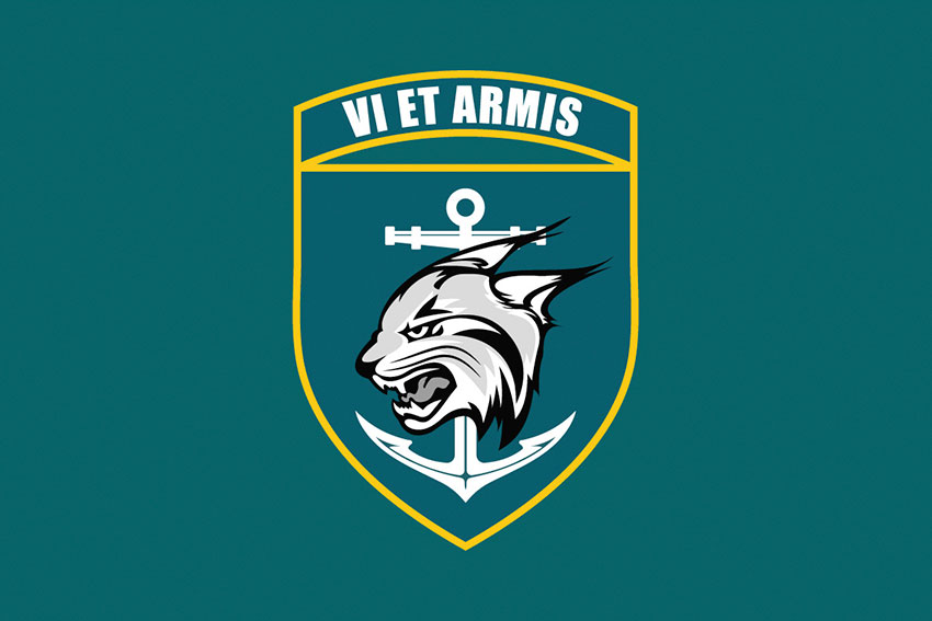 Прапор 137 окремого батальйона морської піхоти (137 ОБМП) ЗСУ