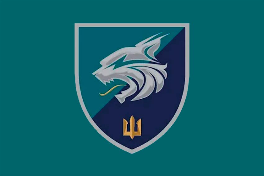 Прапор 137 окремого батальйона морської піхоти (137 ОБМП) ЗСУ