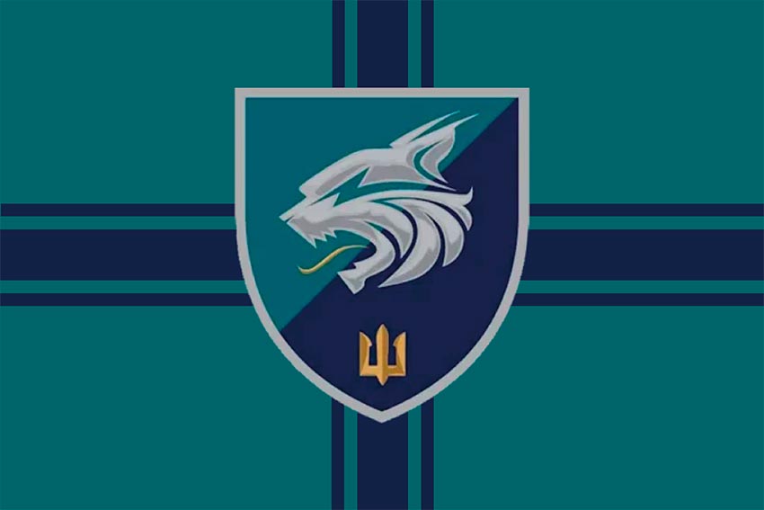 Прапор 137 окремого батальйона морської піхоти (137 ОБМП) ЗСУ