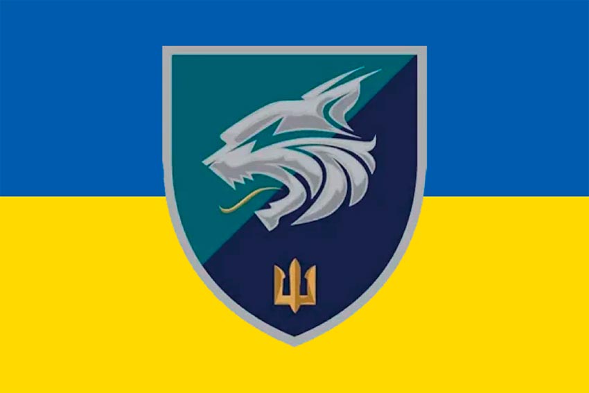 Прапор 137 окремого батальйона морської піхоти (137 ОБМП) ЗСУ синьо-жовтий