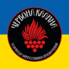 prapor-14-brop-bryhada-operatyvnoho-pryznachennia-imeni-ivana-bohuna-chervona-kalyna-nhu-syno-zhovtyi.jpg