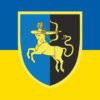 prapor-141-osbr-sv-zsu-syno-zhovtyi