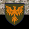 prapor-146-okremoho-remontno-vidnovliuvalnoho-polku-146-orvp-zsu-kamufliazh-chornyi.jpg
