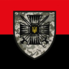 prapor-15-mobilnoho-prykordonnoho-zahonu-stalevyi-kordon-dpsu-chervono-chornyi.jpg