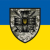 prapor-15-mobilnoho-prykordonnoho-zahonu-stalevyi-kordon-dpsu-syno-zhovtyi.jpg