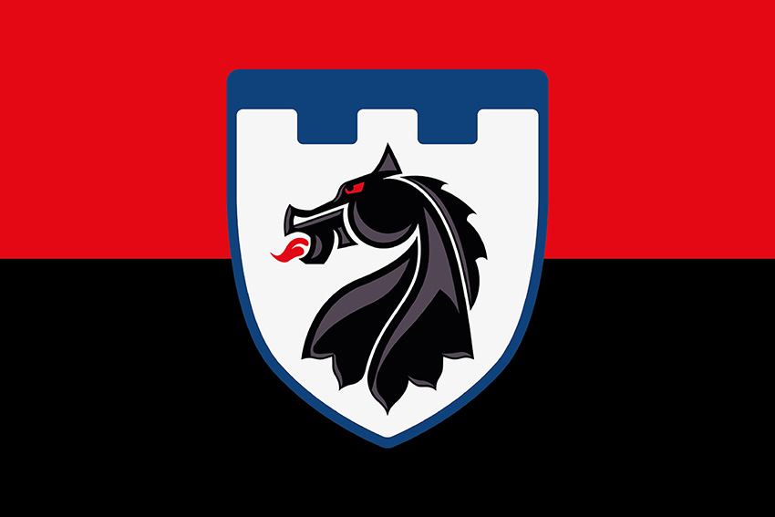 Прапор 155 окремого батальйону територіальної оборони (155 ОБТрО) 117 ОБрТрО ЗСУ червоно-чорний