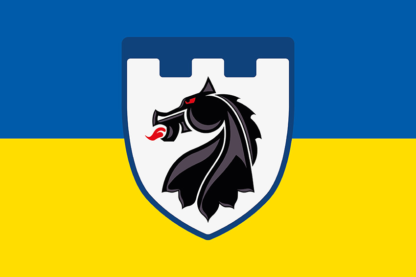 Прапор 155 окремого батальйону територіальної оборони (155 ОБТрО) 117 ОБрТрО ЗСУ синьо-жовтий