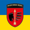 prapor-160-zrb-zakhysnyky-nebes-zsu-syno-zhovtyi.jpg