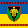 prapor-17-otbr-imeni-kostiantyna-pestushka-zsu-syno-zhovtyi-z-vyshyvankoiu.jpg