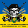 prapor-17-otbr-imeni-kostiantyna-pestushka-zsu-traky-syla-syno-zhovtyi.jpg
