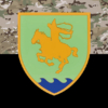 prapor-21-ompb-okremyi-motopikhotnyi-batalion-sarmat-zsu-kamufliazh-chornyi.jpg