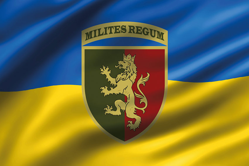 Прапор 24 ОМБр імені короля Данила ЗСУ 3D синьо-жовтий