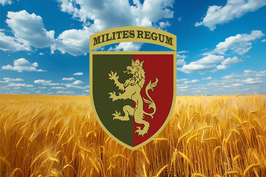 Прапор 24 окремої механізованої бригади (24 ОМБр) імені короля Данила ЗСУ пшеничне поле