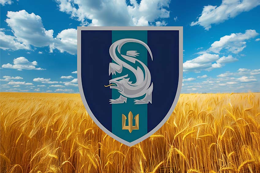 Прапор 241 навчального центру морської піхоти ВМС України (241 НЦ МП ВМС) пшеничне поле