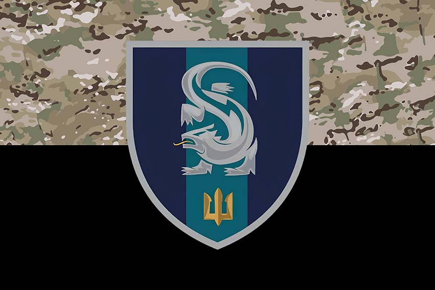 Прапор 241 навчального центру морської піхоти ВМС України (241 НЦ МП ВМС) камуфляж-чорний