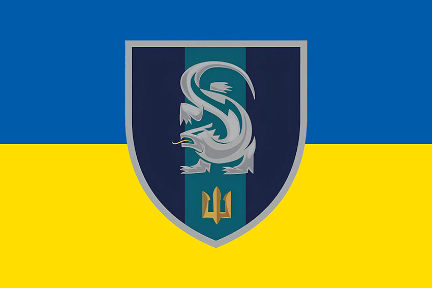 Прапор 241 навчального центру морської піхоти ВМС України (241 НЦ МП ВМС) синьо-жовтий