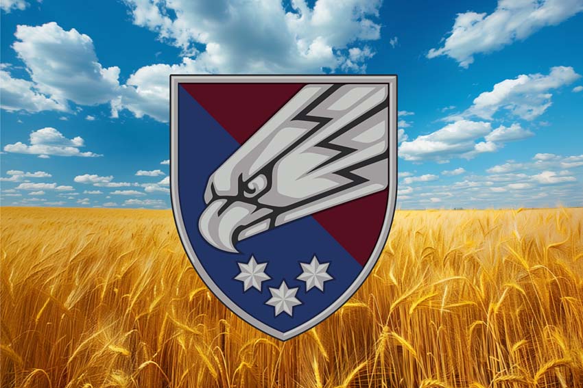 Прапор 25 окремої повітряно-десантної бригади (25 ОПДБр) Січеславської ДШВ ЗСУ пшеничне поле