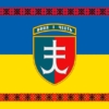 prapor-35-okremoi-bryhady-morskoi-pikhoty-35-obrmp-imeni-mykhaila-ostrohradskoho-zsu-syno-zhovtyi-z-vyshyvankoiu.jpg