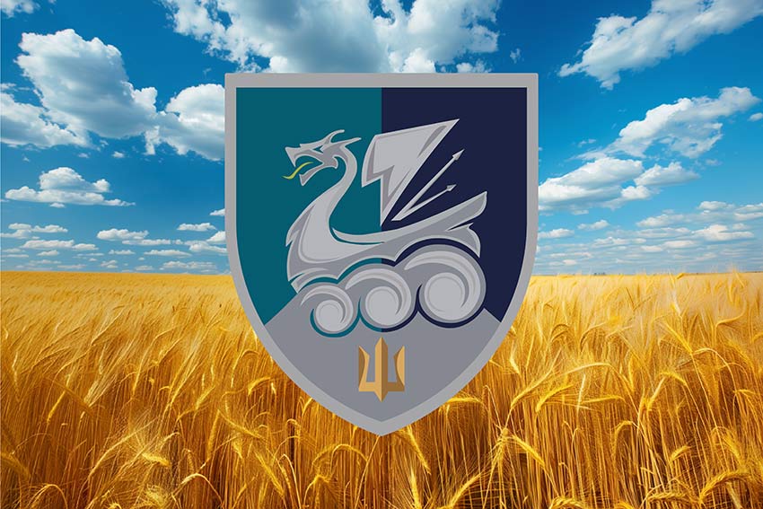 Прапор 36 окремої бригади морської піхоти (36 ОБрМП) імені Михайла Білинського ВМС ЗСУ пшеничне поле