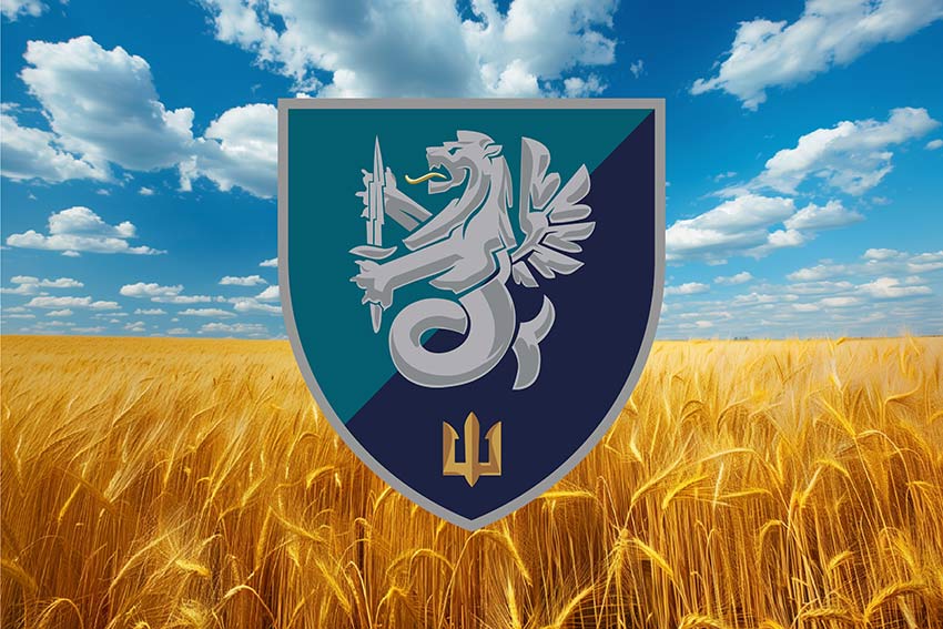 Прапор 37 окремої бригади морської піхоти (37 ОБрМП) ВМС України пшеничне поле