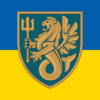 prapor-37-obrmp-zsu-syno-zhovtyi.jpg