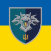 prapor-38-obrmp-vms-ukrainy-loho-2-syno-zhovtyi.jpg