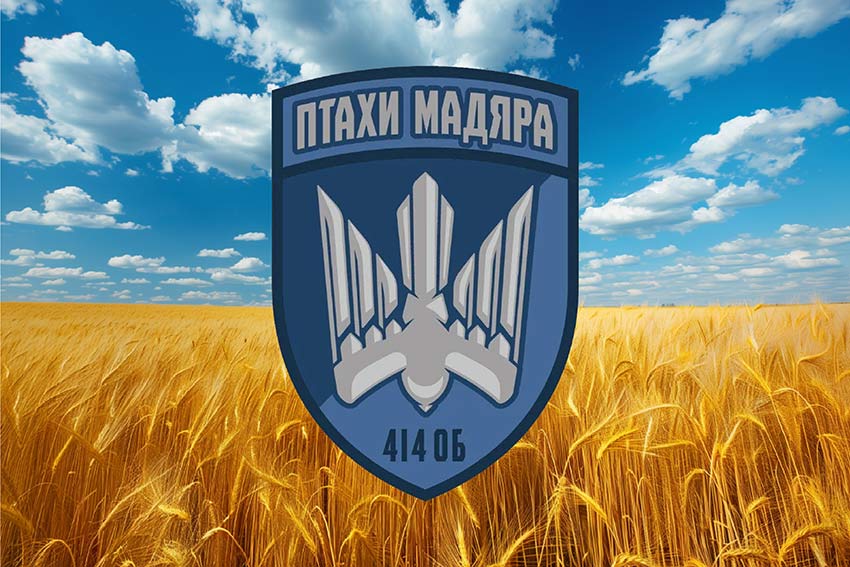 Прапор 414 ОПУБАС Морської піхоти Збройних сил України пшеничне поле