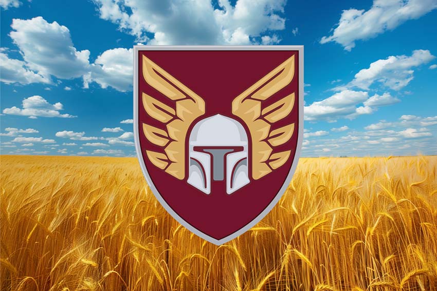 Прапор 46 ОАеМБр (окремої аеромобільної бригади) ДШВ ЗСУ пшеничне поле