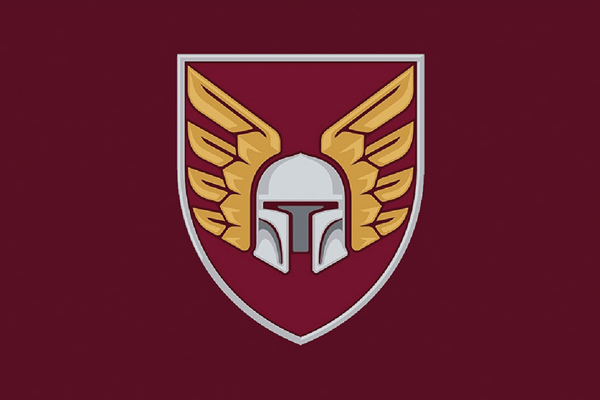 Прапор 46 ОАеМБр (окремої аеромобільної бригади) ДШВ ЗСУ